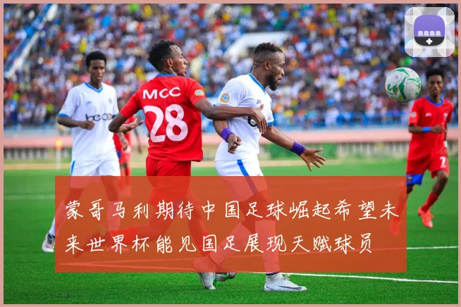 蒙哥马利期待中国足球崛起希望未来世界杯能见国足展现天赋球员